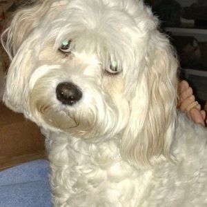 Meet your Posher, Kathy